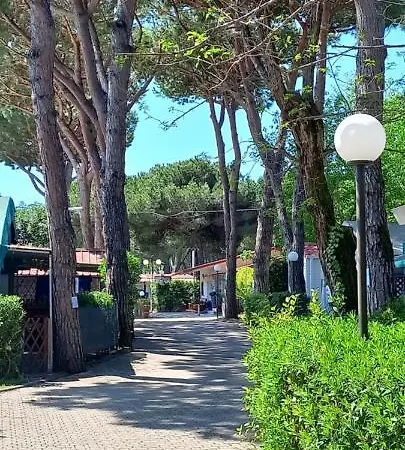 Linus Marina di Massa