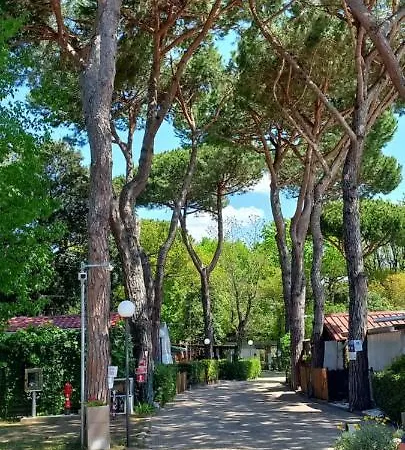 Linus Campsite